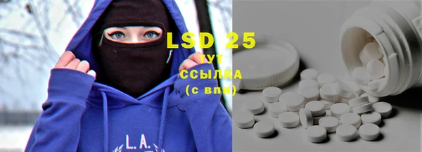 PSILOCYBIN Аркадак