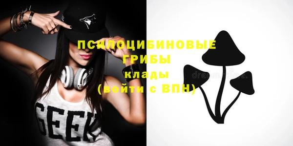 крисы Арсеньев