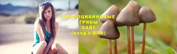 крисы Арсеньев